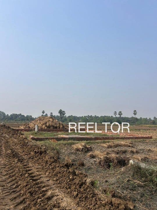 Plots For Rent In Nimbhori Kj Pachora