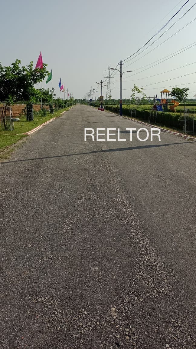 Plots For Rent In Mashwar Shalai