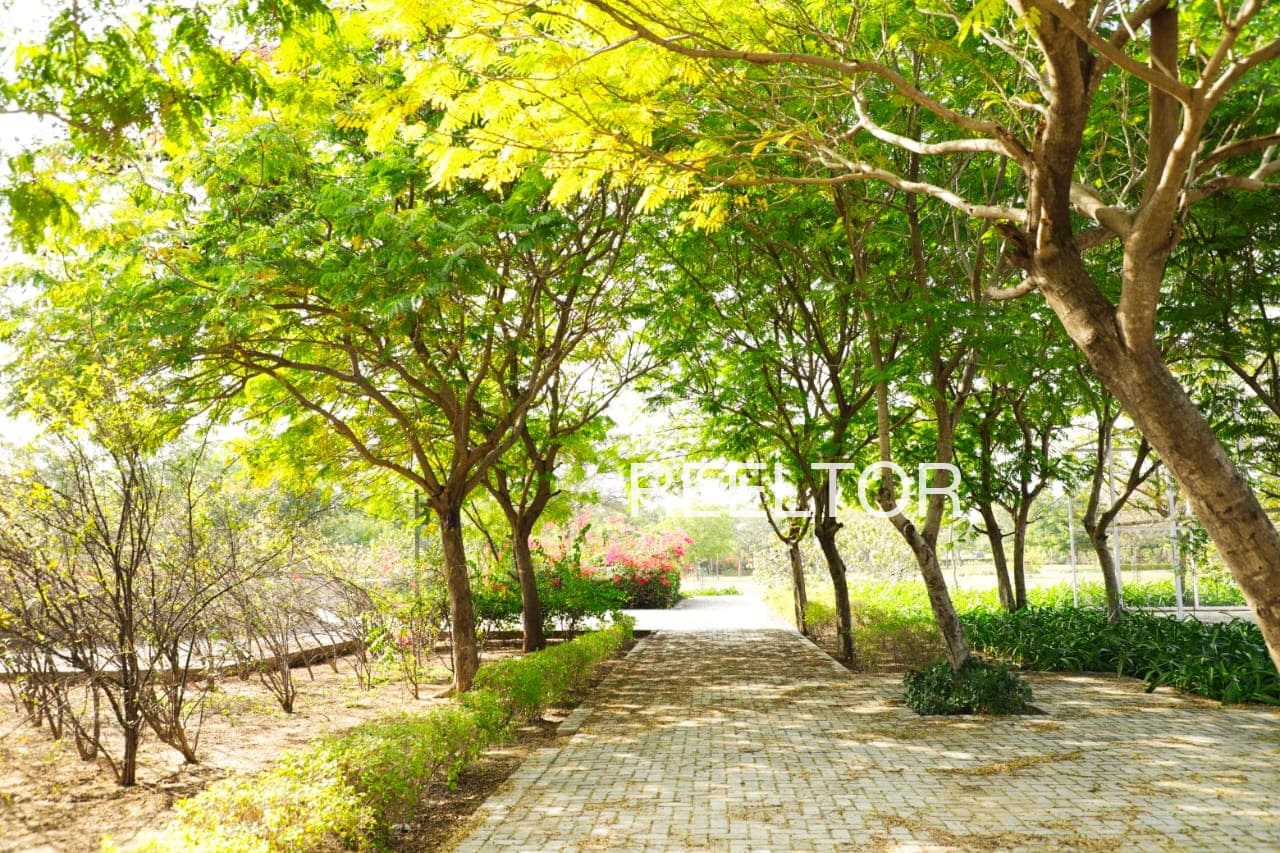 Plots For Rent In Arepally Shayampet