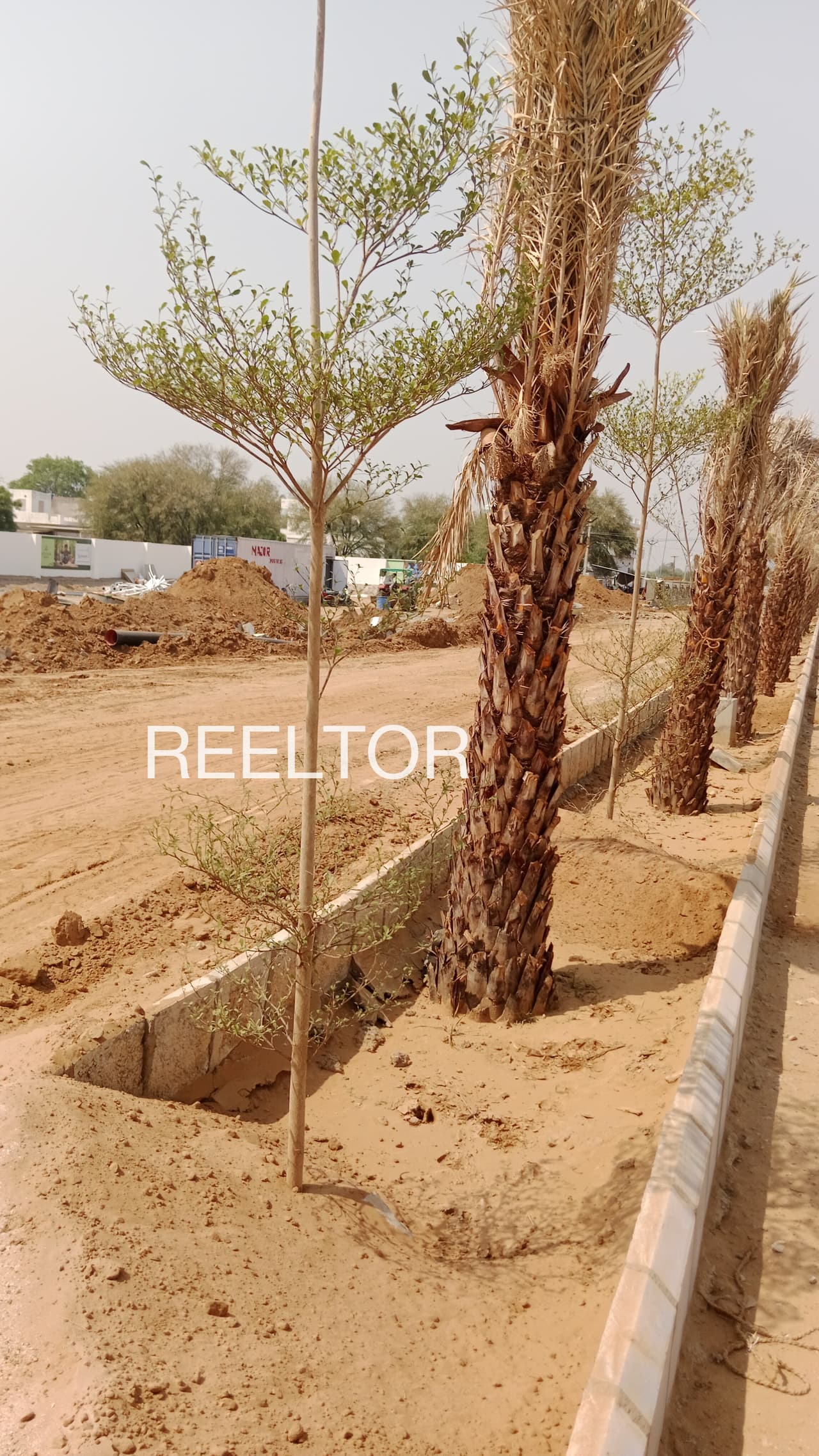 Plots For Rent In Pardi Bhainsdehi