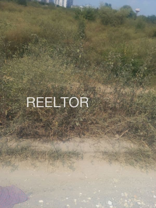 Plots For Rent In Pura Sattar Dhaulpur