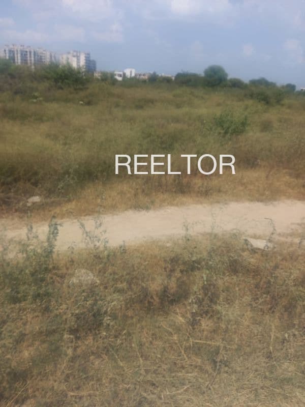 Plots For Rent In Rasapally Dandepalle