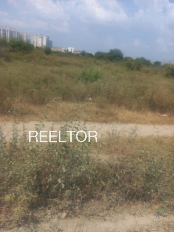 Plots For Rent In Bohira Latur
