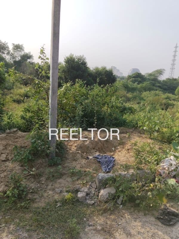 Plots For Rent In Nazurul Nagar No 8 Kagaznagar