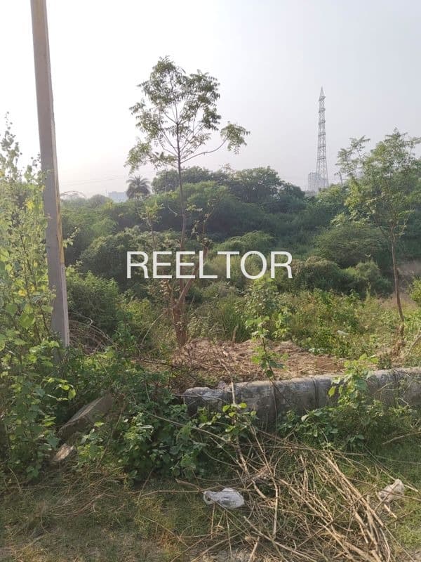Plots For Rent In Saraswathi Nagara Bangalore North