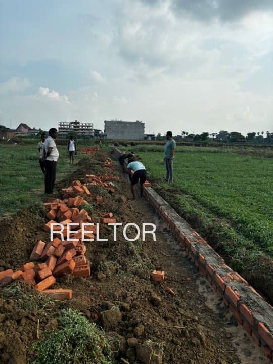 Plots For Rent In Walayat Shahwala Zira