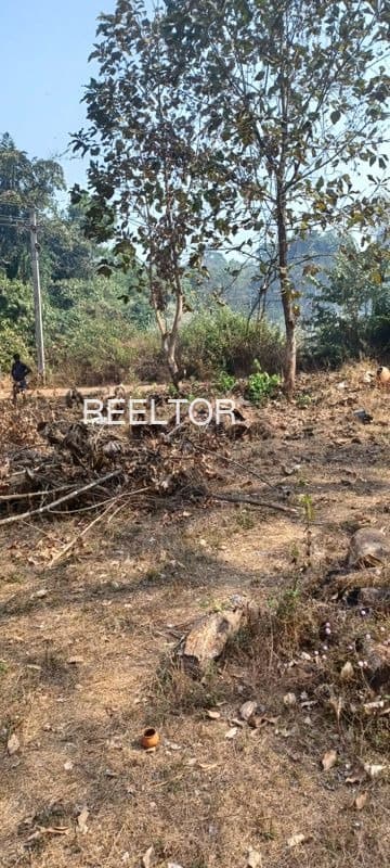 Plots For Rent In Koonandiyur Mettur