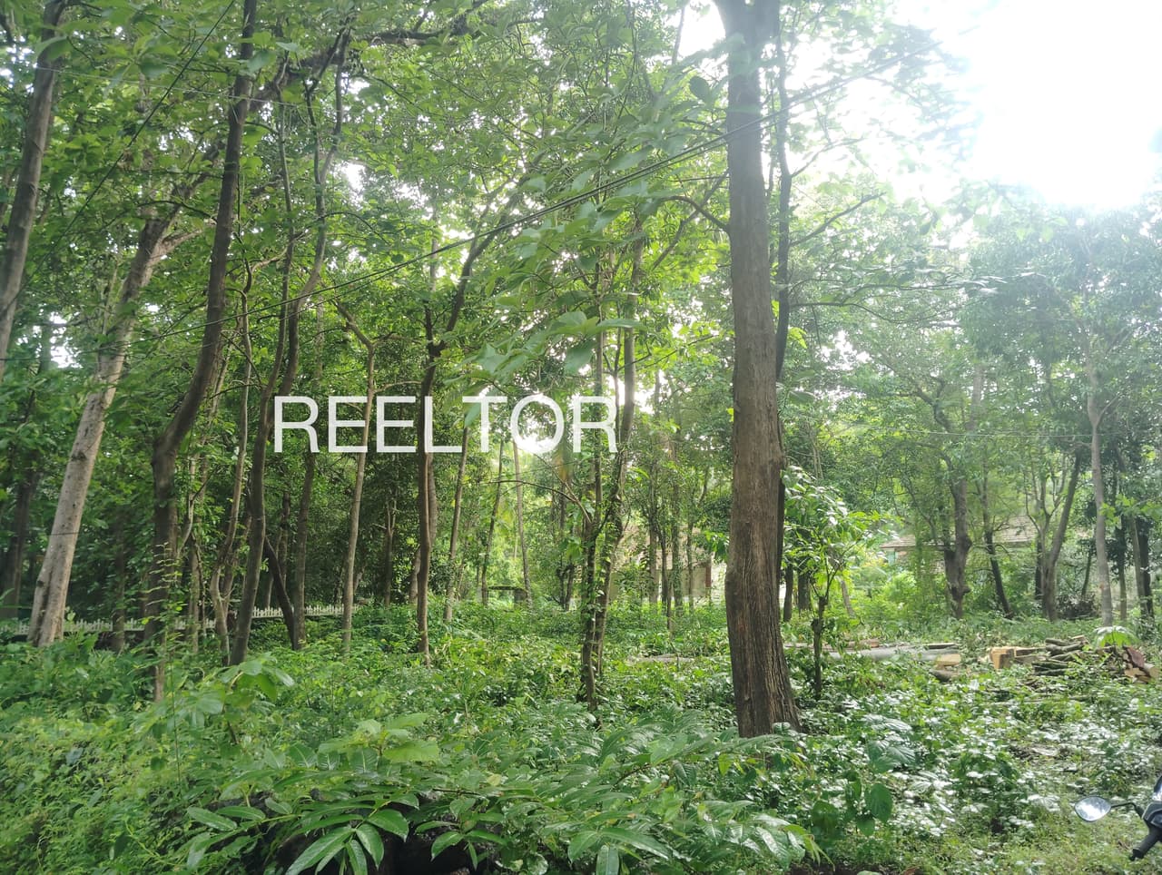 Plots For Rent In Makaura Jogindarnagar