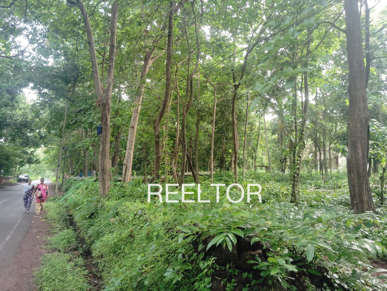 Plots For Rent In Palyani Darlaghat