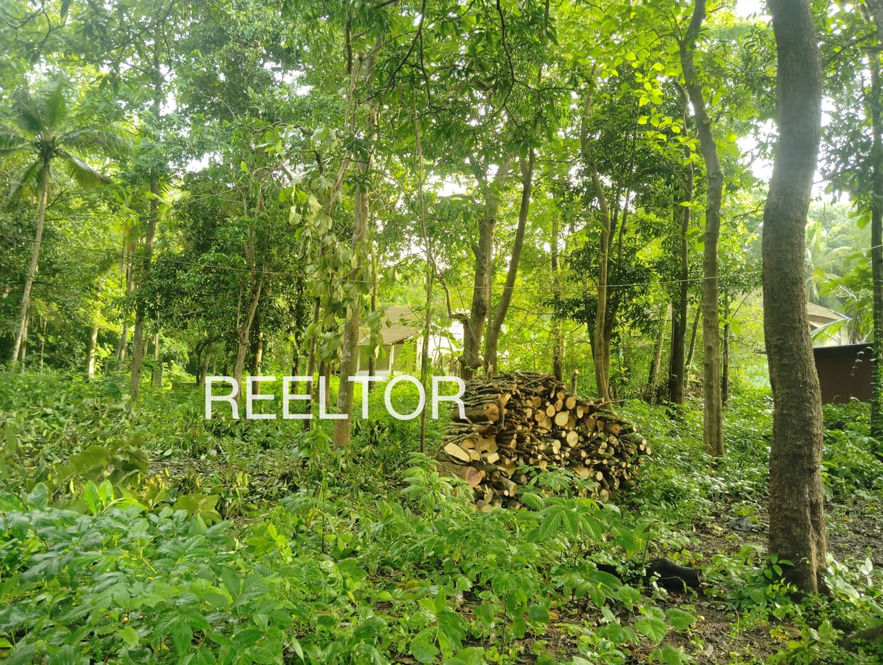 Plots For Rent In Kali Kandaghat