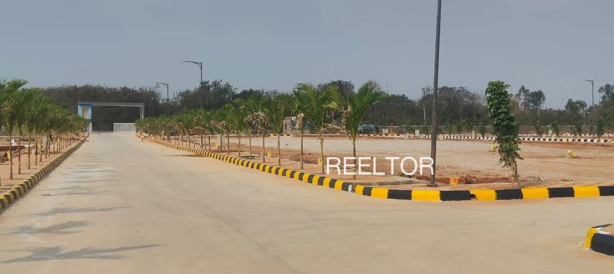 Plots For Rent In Bhimnala Zari Jamani