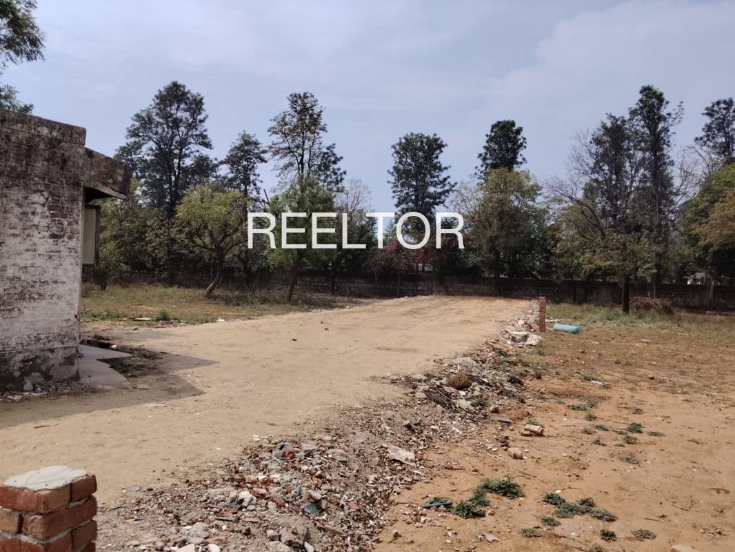 Plots For Rent In Damaracheruvu Ramayampet