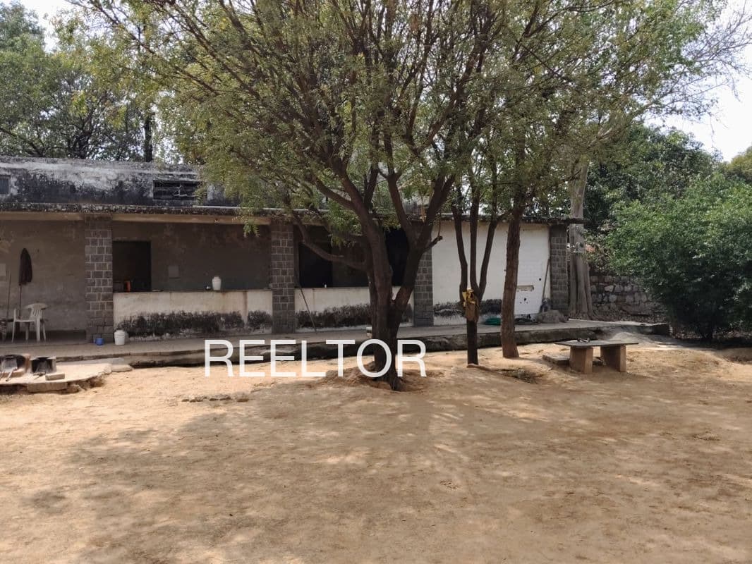 Plots For Rent In Walayat Shahwala Zira