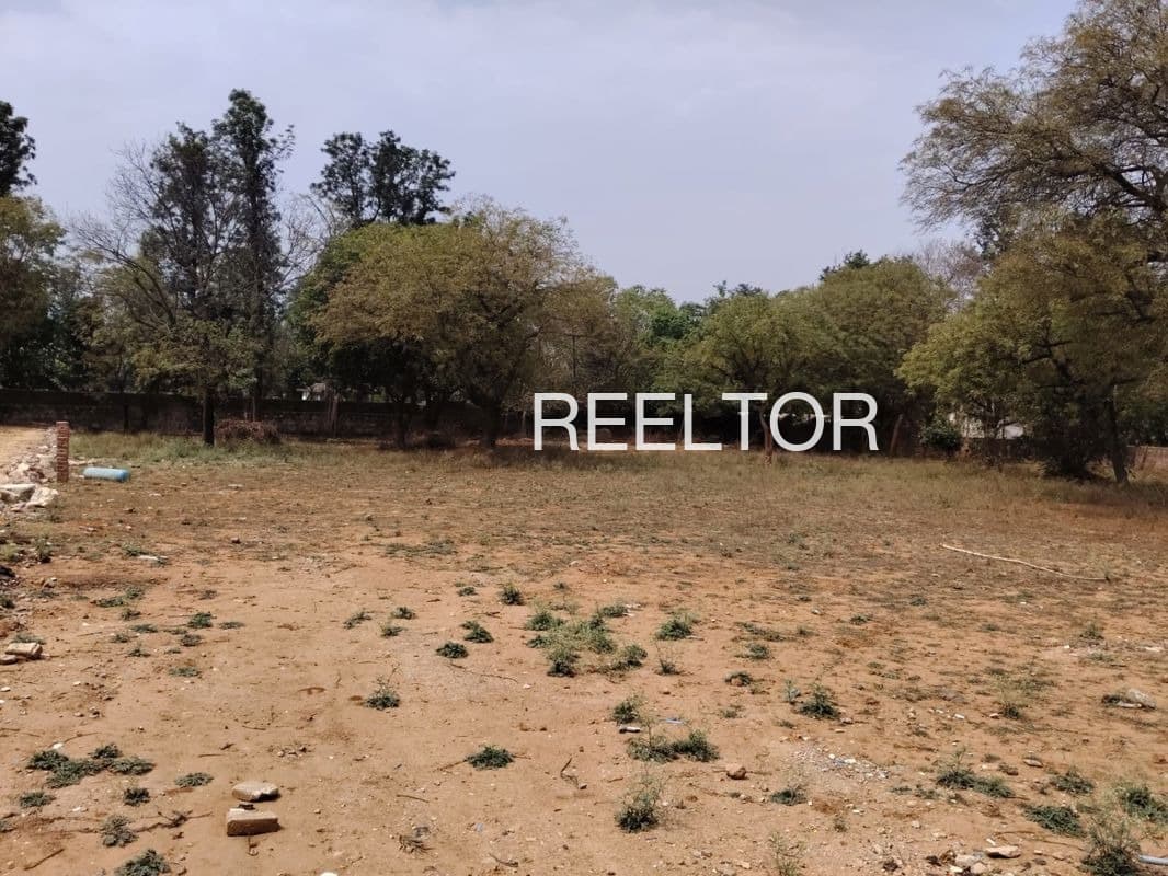 Plots For Rent In Chembalam Udumbanchola