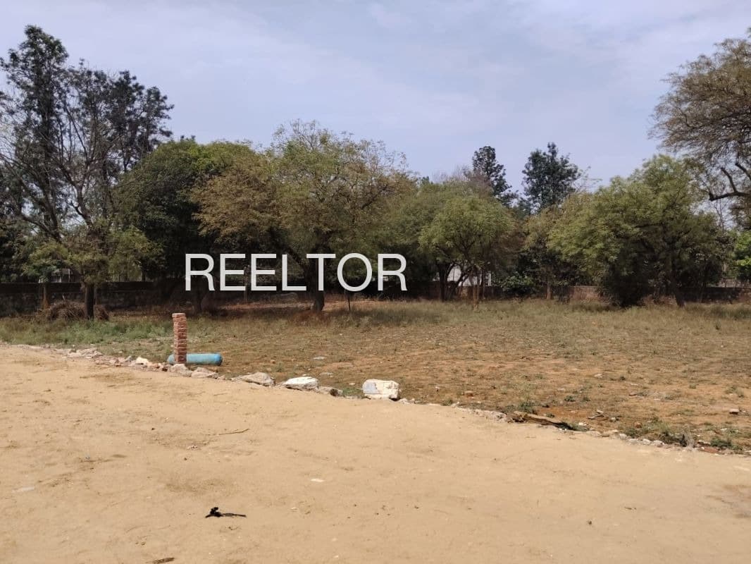 Plots For Rent In Mandhavgan Pharata Shirur