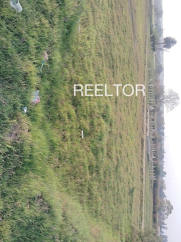 Plots For Rent In Rudawali Shirpur