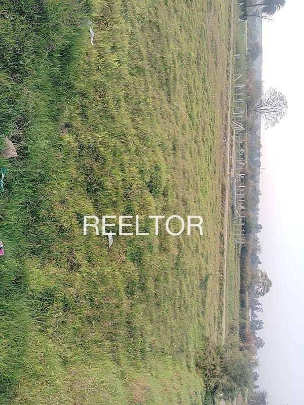 Plots For Rent In Shrikrishanpura Kotkhawada