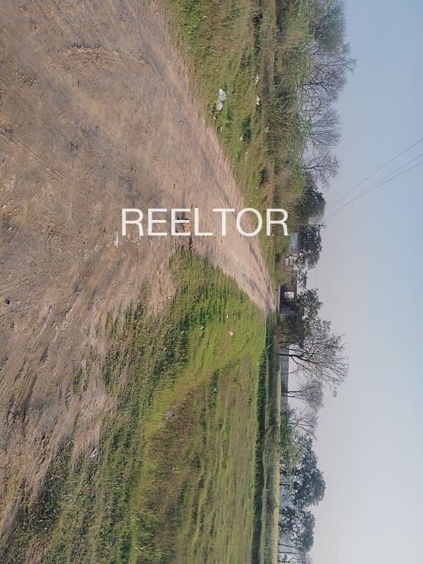 Plots For Rent In Ummaidnagar Shahpura