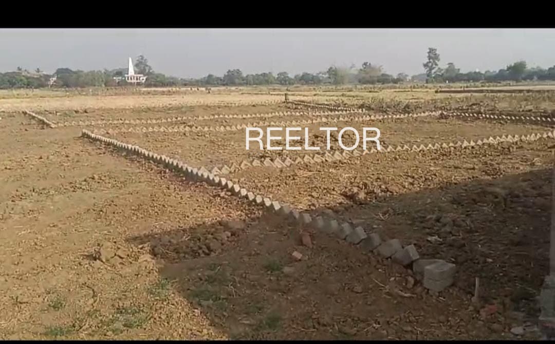 Plots For Rent In Walayat Shahwala Zira