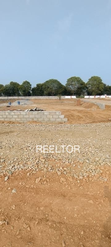Plots For Rent In Mota Khijadiya Tankara