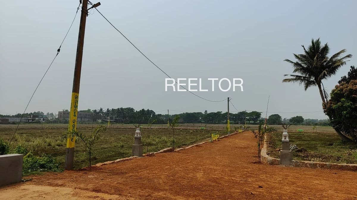 Plots For Rent In Lakshmipura Hunasuru