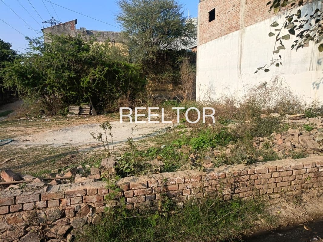 Plots For Rent In Masebi Rasoolpur Bilari