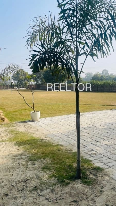 Plots For Rent In Kauthal T Sarangkheda Shahada