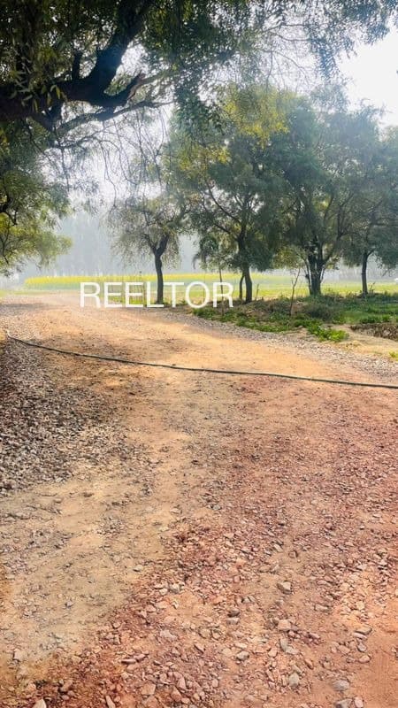 Plots For Rent In Patharankudi Kumbakonam
