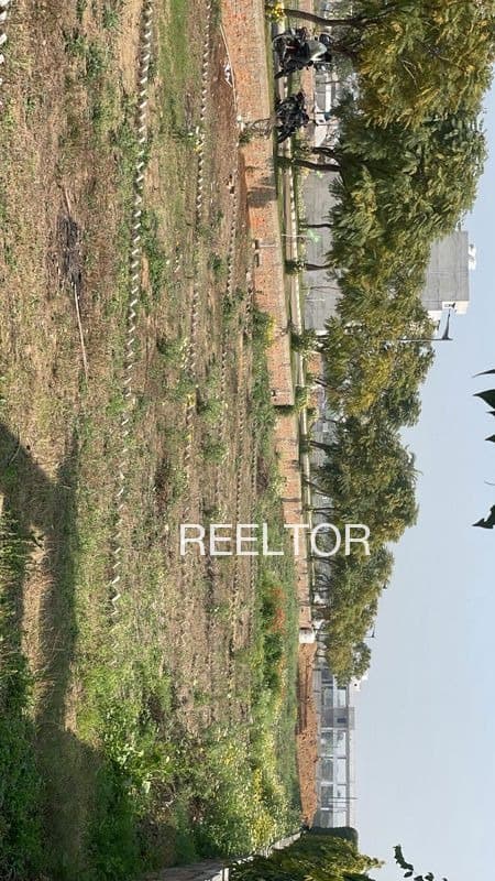 Plots For Rent In Masebi Rasoolpur Bilari