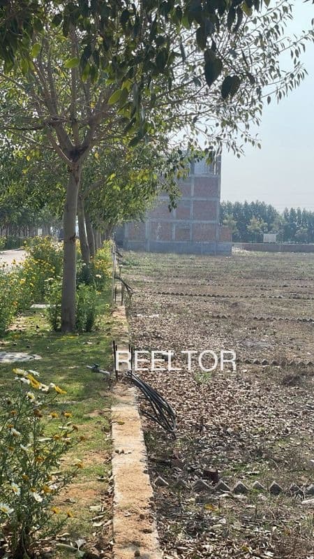 Plots For Rent In Vairamganj Khair