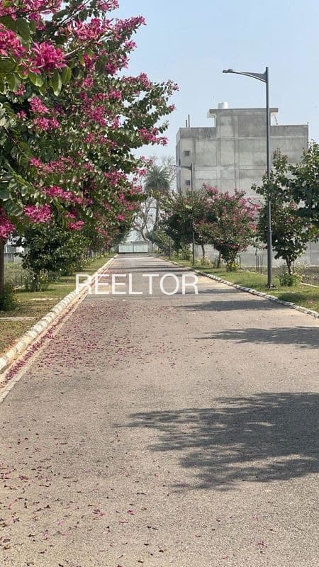 Plots For Rent In Yewalwadi Patoda