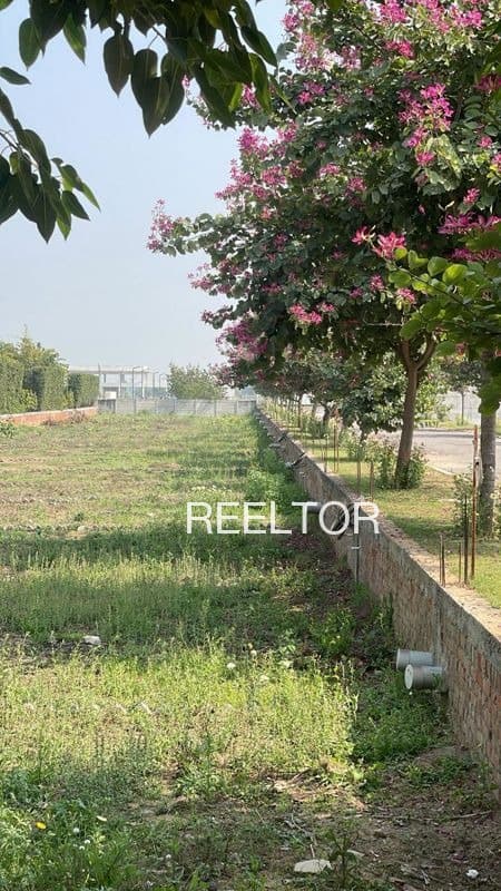 Plots For Rent In Bishankheri Raisen