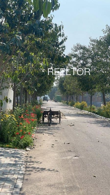 Plots For Rent In Bikana Mirzapur