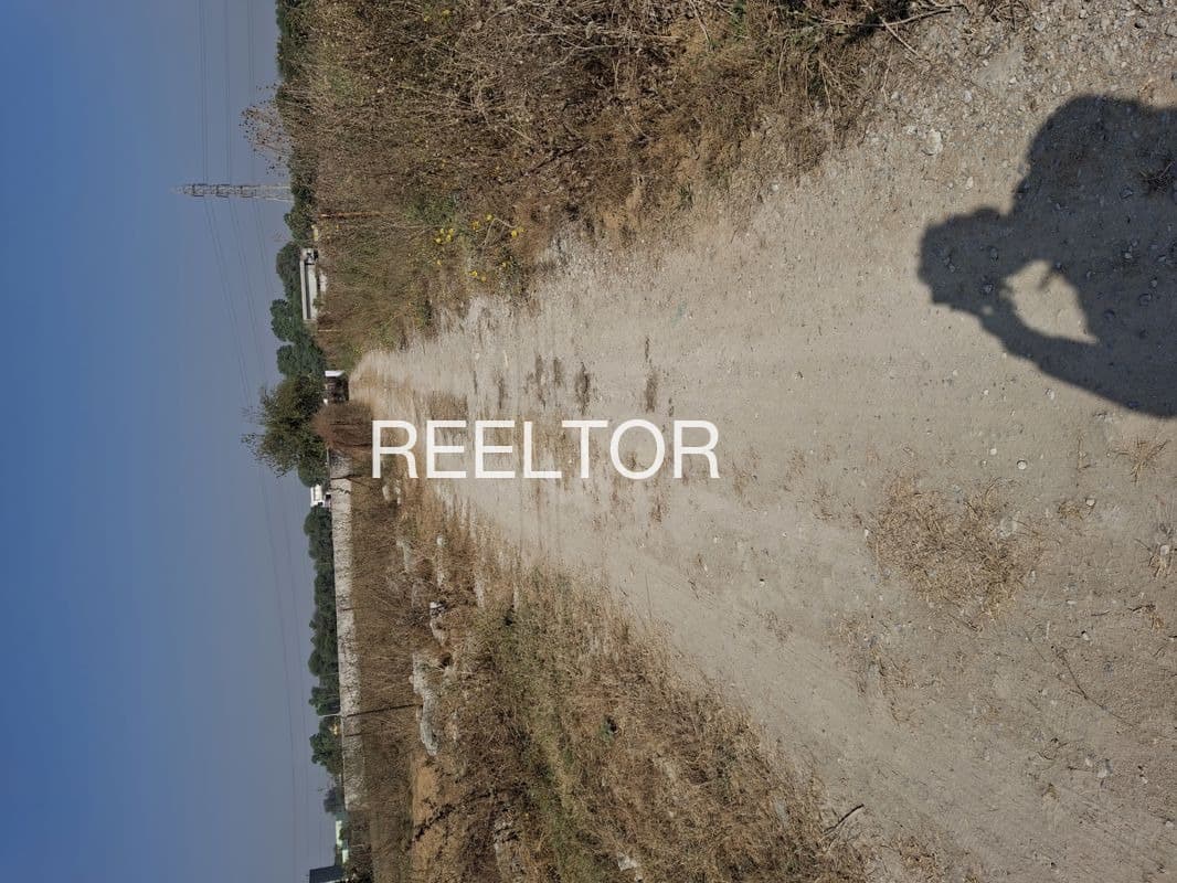 Plots For Rent In Alipura Amroha