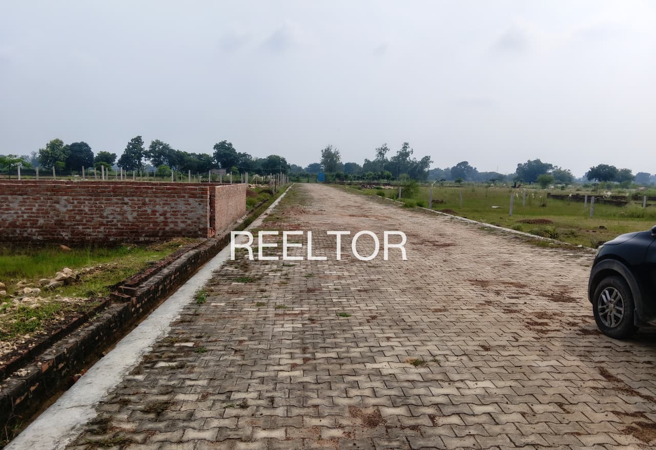 Plots For Rent In Sadrauni Bali Chowki