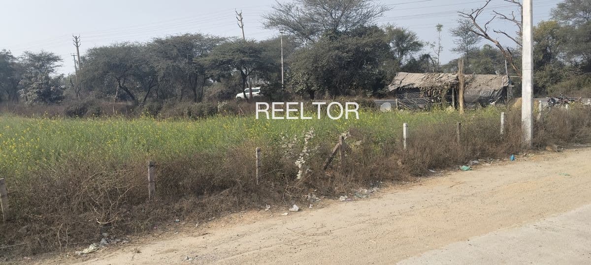Plots For Rent In Moti Lank Pratapgarh