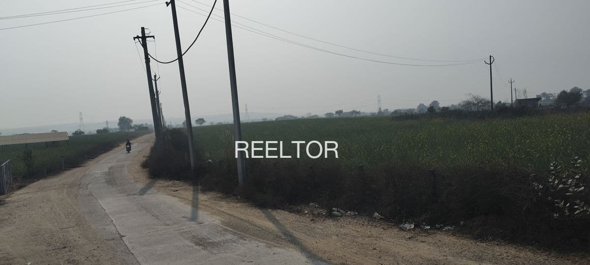 Plots For Rent In Raipurabuzurg Seondha