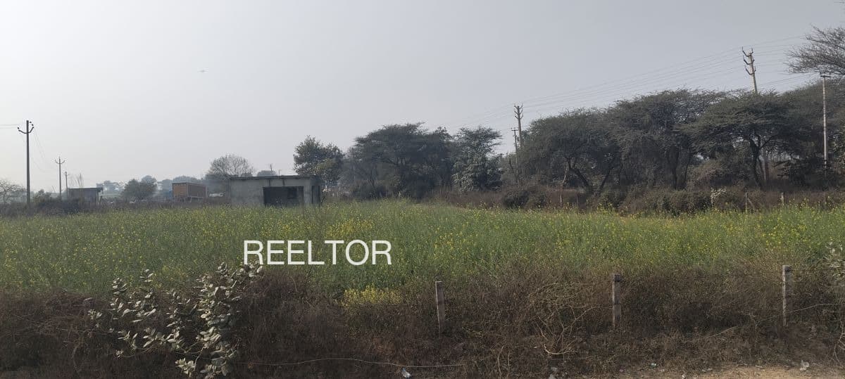 Plots For Rent In Paddaimooly Colony Kasaragod