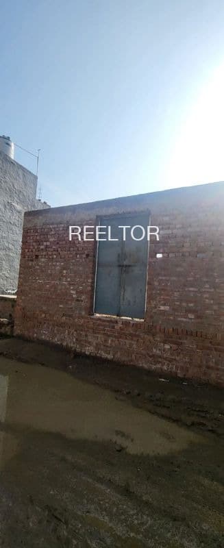 Plots For Rent In Rashyali Theog