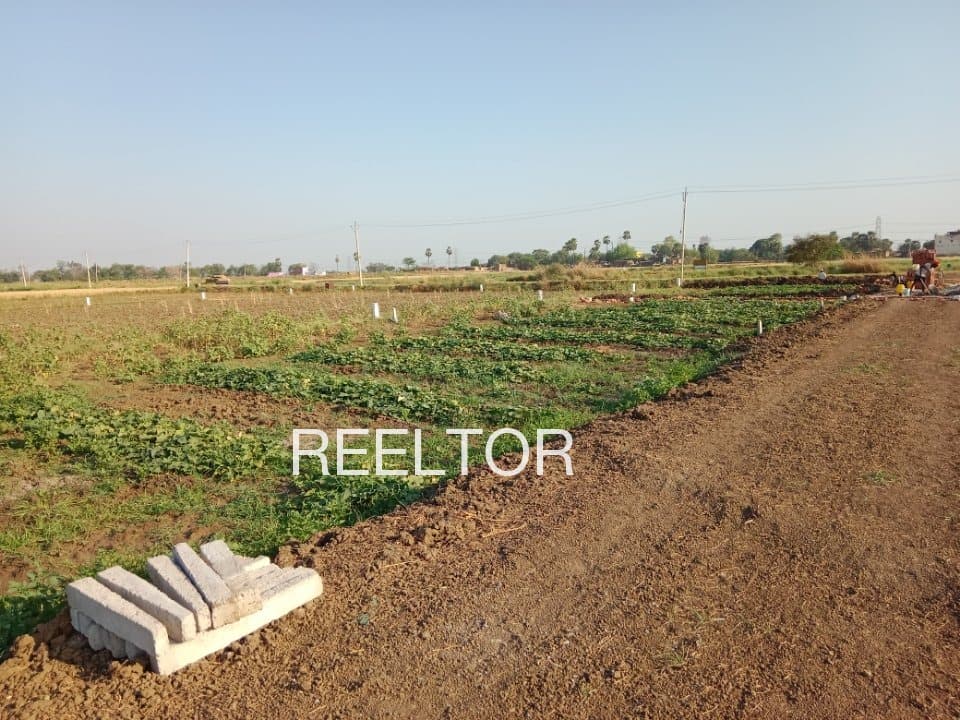 Plots For Rent In Barada Dhenkanal Sadar