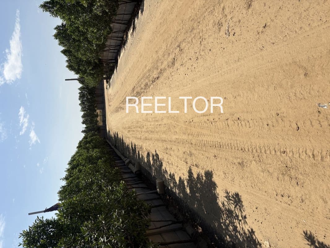 Plots For Rent In Safilpur Bilari