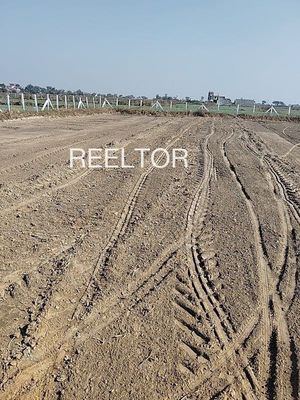 Plots For Rent In Thalavady Ambalappuzha