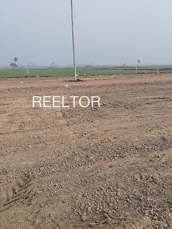 Plots For Rent In Sargipali Gaisilet