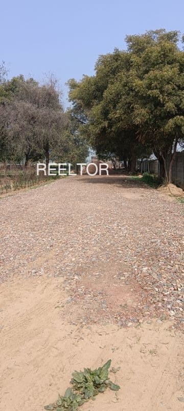 Plots For Rent In Chinnakomatipalli Ellandakunta