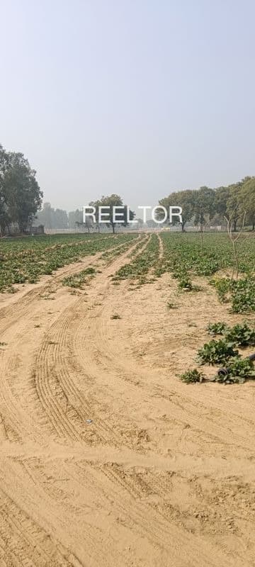 Plots For Rent In Ganehra Mandi