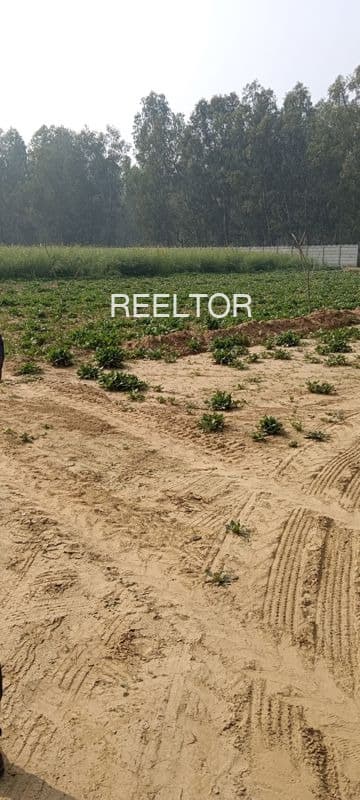 Plots For Rent In Banker Narela