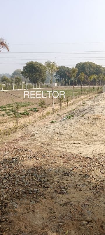 Plots For Rent In Nemmelikudy Valangaiman