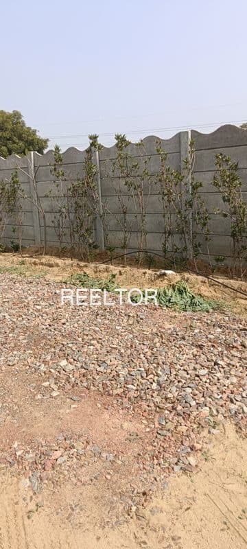 Plots For Rent In Chhapi Rannod