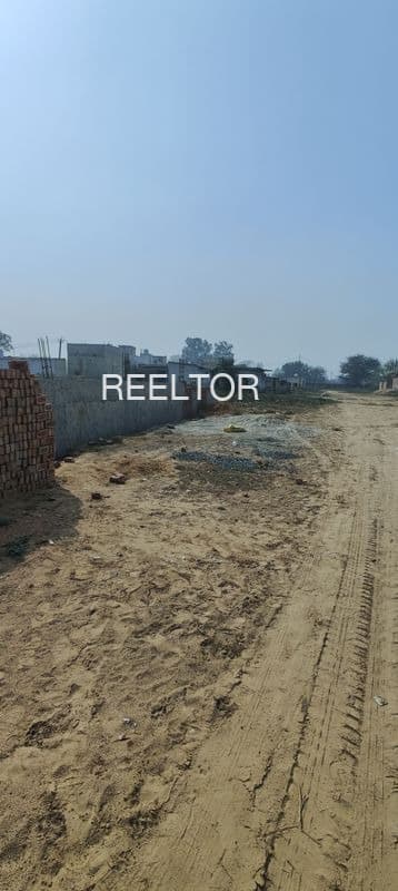 Plots For Rent In Chotana Mahesana