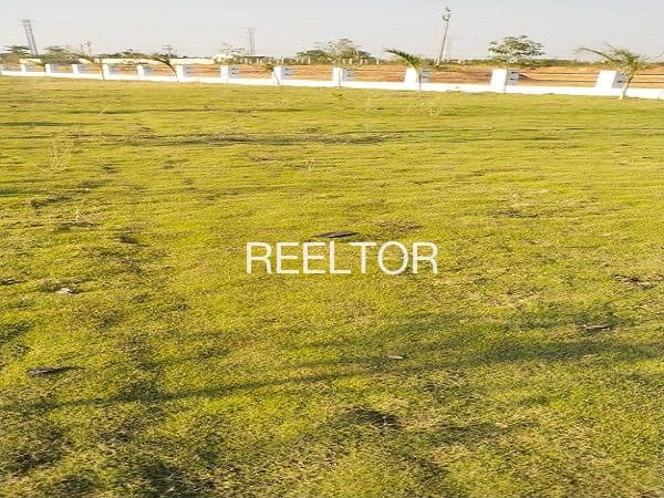 Plots For Rent In Thorlewadi Ahmadpur